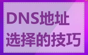 DNS地址选择的技巧