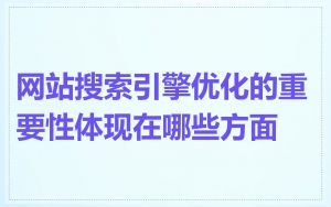 网站搜索引擎优化的重要性体现在哪些方面