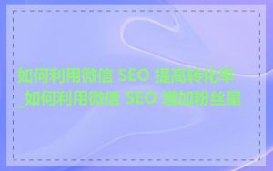 如何利用微信 SEO 提高转化率_如何利用微信 SEO 增加粉丝量