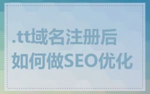 .tt域名注册后如何做SEO优化