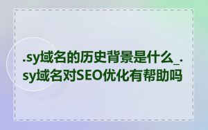 .sy域名的历史背景是什么_.sy域名对SEO优化有帮助吗