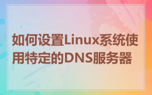 如何设置Linux系统使用特定的DNS服务器