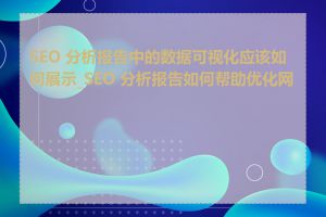 SEO 分析报告中的数据可视化应该如何展示_SEO 分析报告如何帮助优化网站