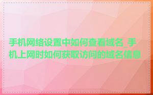 手机网络设置中如何查看域名_手机上网时如何获取访问的域名信息