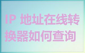 IP 地址在线转换器如何查询