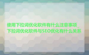 使用下拉词优化软件有什么注意事项_下拉词优化软件与SEO优化有什么关系