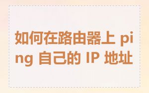 如何在路由器上 ping 自己的 IP 地址
