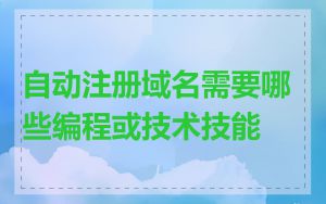自动注册域名需要哪些编程或技术技能