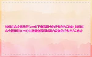 如何在命令提示符(cmd)下查看网卡的IP和MAC地址_如何在命令提示符(cmd)中批量查看局域网内设备的IP和MAC地址
