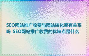 SEO网站推广收费与网站转化率有关系吗_SEO网站推广收费的优缺点是什么