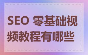SEO 零基础视频教程有哪些
