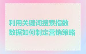 利用关键词搜索指数数据如何制定营销策略