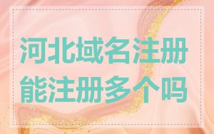 河北域名注册能注册多个吗