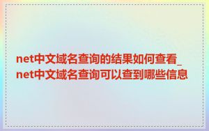 net中文域名查询的结果如何查看_net中文域名查询可以查到哪些信息