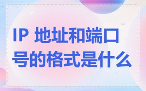 IP 地址和端口号的格式是什么