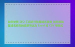 如何使用 SEO 工具进行批量域名查询_如何将批量域名查询的结果导出为 Excel 或 CSV 等格式