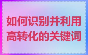 如何识别并利用高转化的关键词