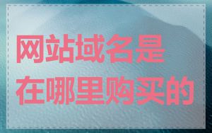 网站域名是在哪里购买的