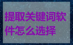 提取关键词软件怎么选择