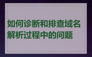 如何诊断和排查域名解析过程中的问题