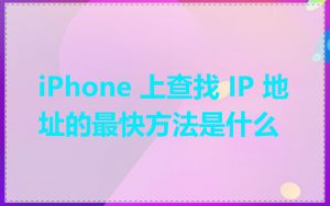 iPhone 上查找 IP 地址的最快方法是什么