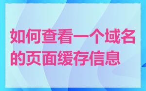 如何查看一个域名的页面缓存信息
