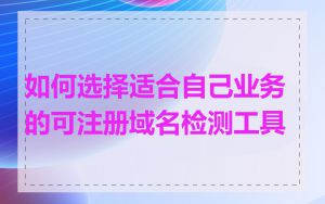 如何选择适合自己业务的可注册域名检测工具