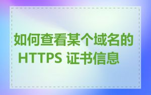 如何查看某个域名的 HTTPS 证书信息