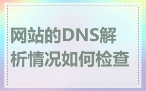 网站的DNS解析情况如何检查