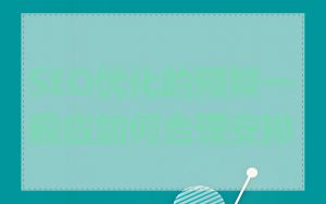 SEO优化的预算一般应如何合理安排