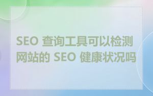 SEO 查询工具可以检测网站的 SEO 健康状况吗