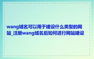 wang域名可以用于建设什么类型的网站_注册wang域名后如何进行网站建设