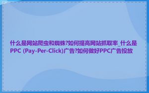 什么是网站爬虫和蜘蛛?如何提高网站抓取率_什么是PPC (Pay-Per-Click)广告?如何做好PPC广告投放
