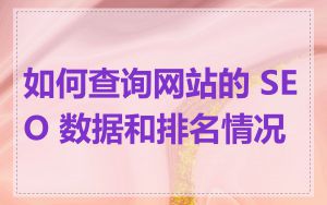 如何查询网站的 SEO 数据和排名情况