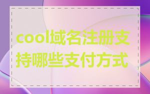 cool域名注册支持哪些支付方式