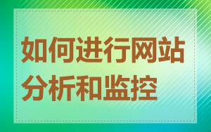 如何进行网站分析和监控