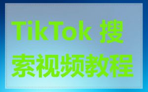 TikTok 搜索视频教程