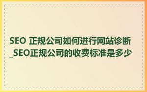 SEO 正规公司如何进行网站诊断_SEO正规公司的收费标准是多少