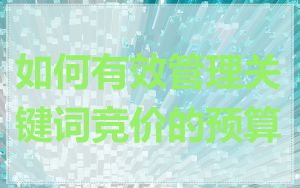 如何有效管理关键词竞价的预算