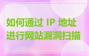 如何通过 IP 地址进行网站漏洞扫描