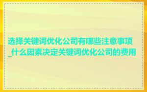 选择关键词优化公司有哪些注意事项_什么因素决定关键词优化公司的费用