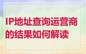 IP地址查询运营商的结果如何解读