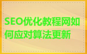 SEO优化教程网如何应对算法更新