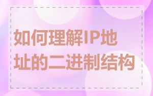 如何理解IP地址的二进制结构