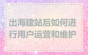 出海建站后如何进行用户运营和维护