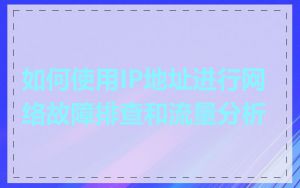 如何使用IP地址进行网络故障排查和流量分析