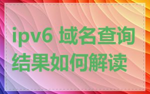 ipv6 域名查询结果如何解读