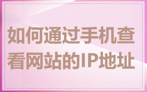 如何通过手机查看网站的IP地址