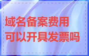 域名备案费用可以开具发票吗