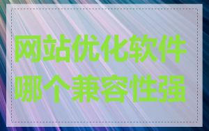 网站优化软件哪个兼容性强